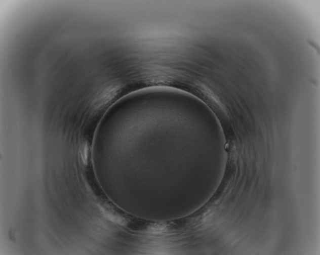 X0000096480076200801311605