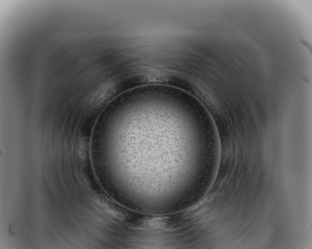 X0000096480078200801311605