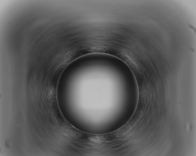 X0000096480079200801311605