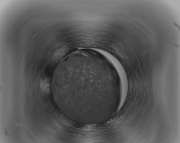 X0000096480080200801311605