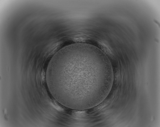 X0000096480081200801311605