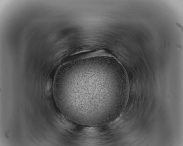 X0000096480082200801311605