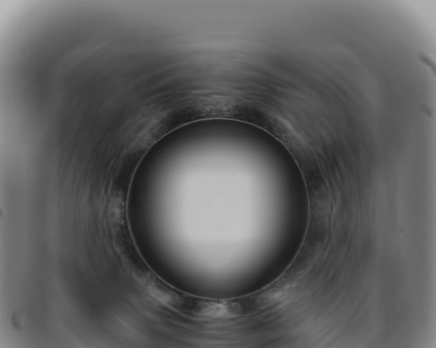 X0000096480083200801311605