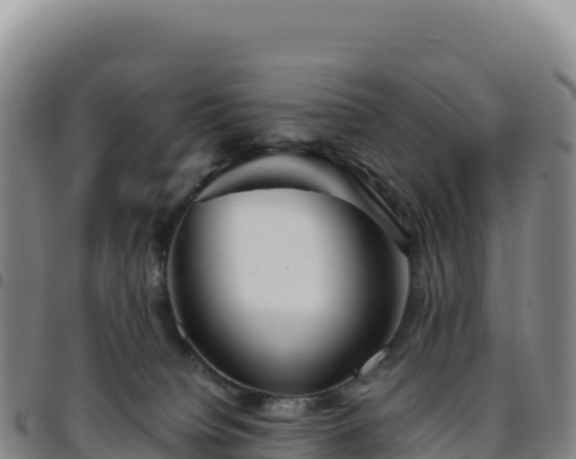 X0000096480084200801311605