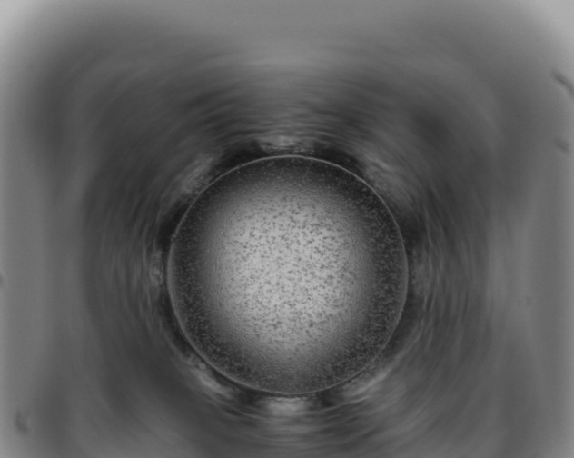 X0000096480085200801311605