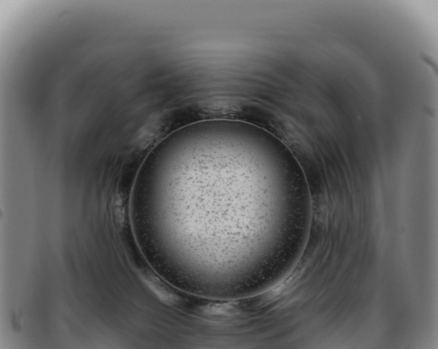 X0000096480086200801311605