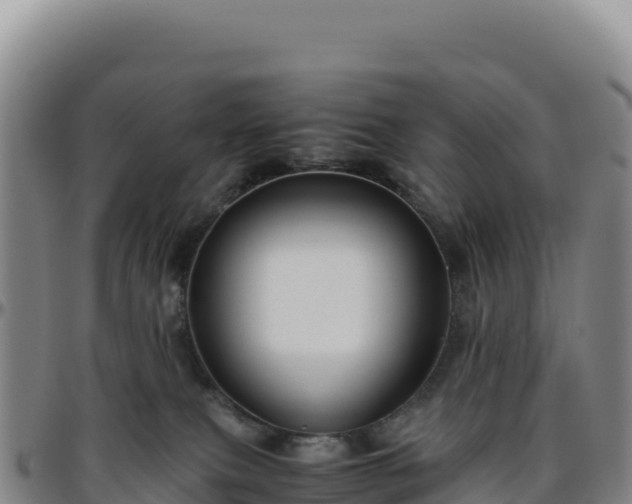 X0000096480087200801311605