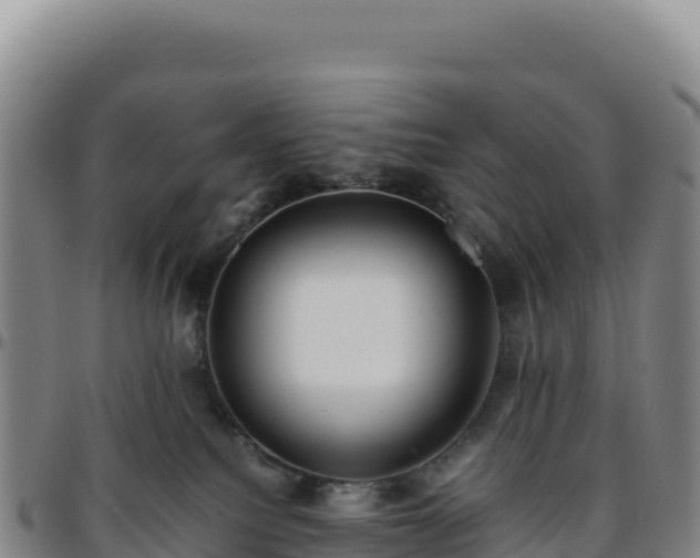 X0000096480088200801311605