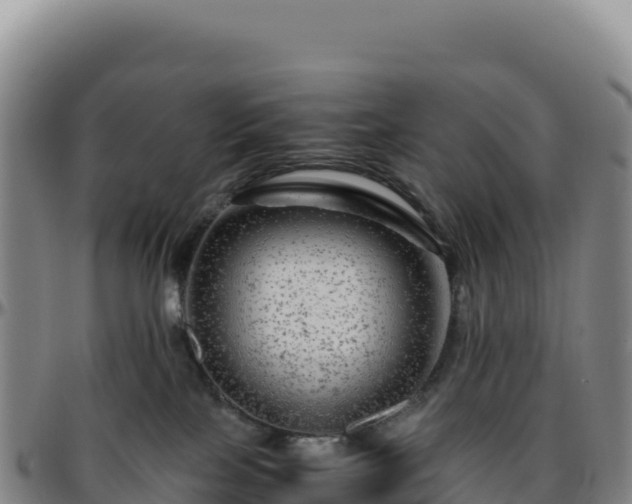 X0000096480089200801311606