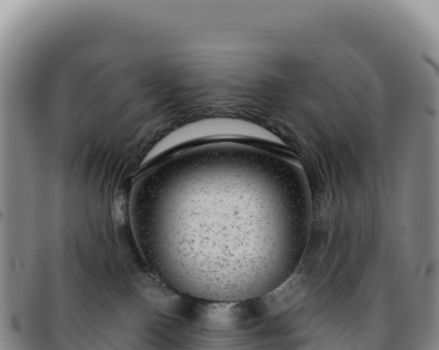 X0000096480090200801311606