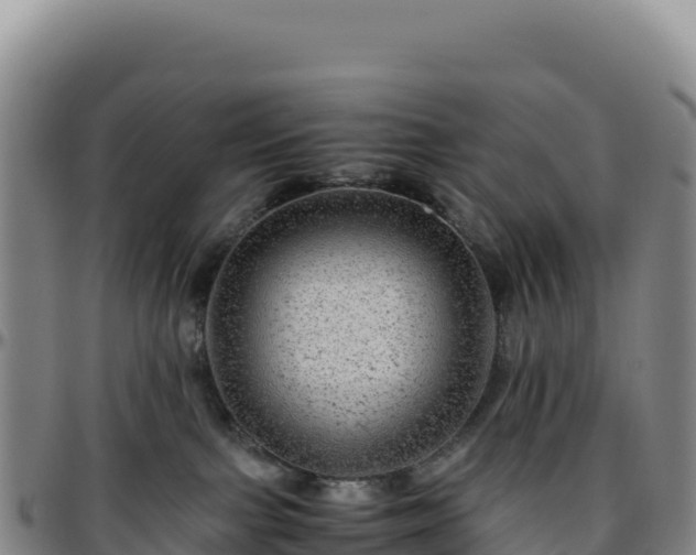 X0000096480091200801311606