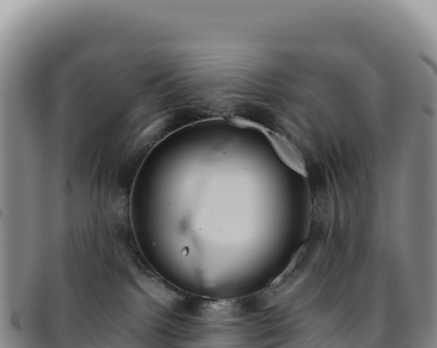 X0000096480092200801311606