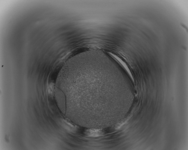 X0000096480093200801311606