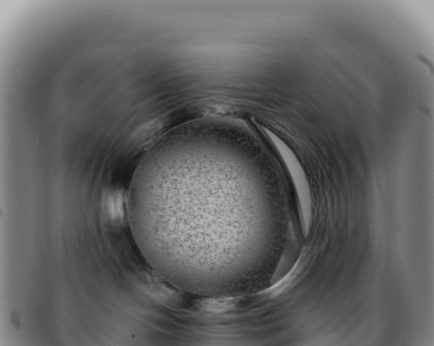 X0000096480094200801311606