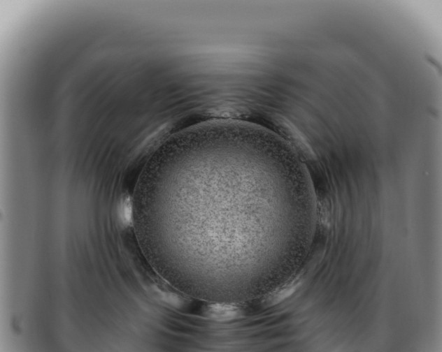 X0000096480095200801311606