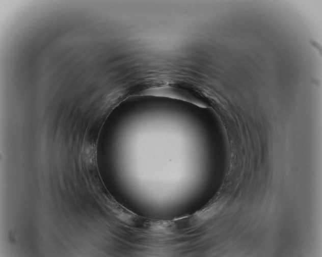 X0000096480096200801311606