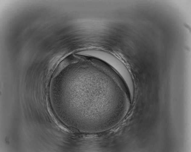 X0000096480097200801311605