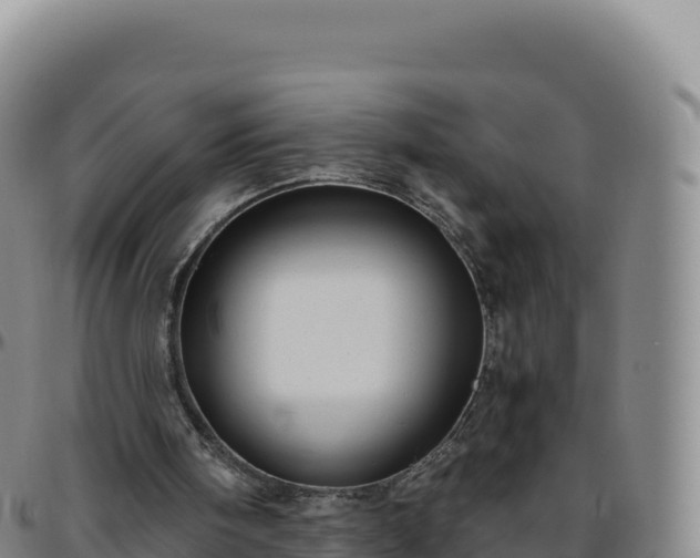 X0000096480098200801311605