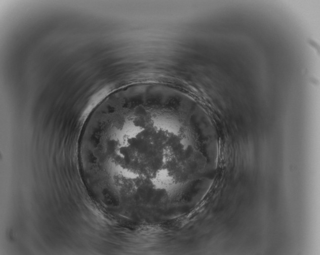 X0000096480099200801311605