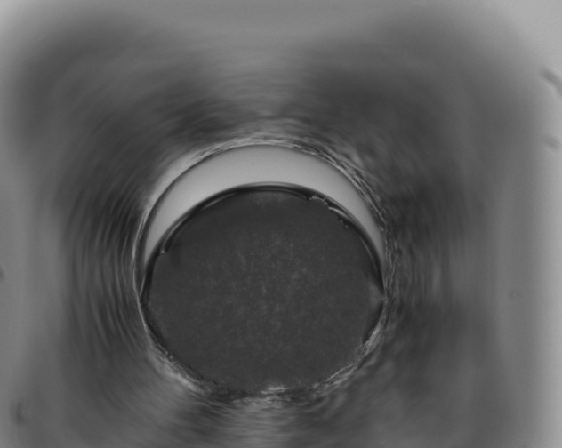 X0000096480100200801311605