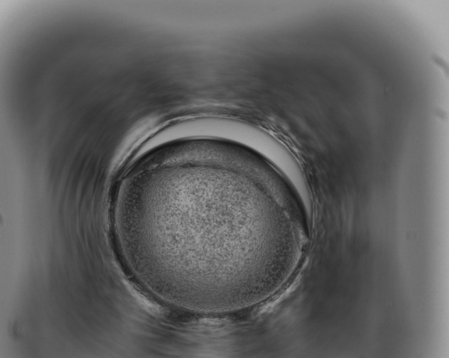 X0000096480101200801311605