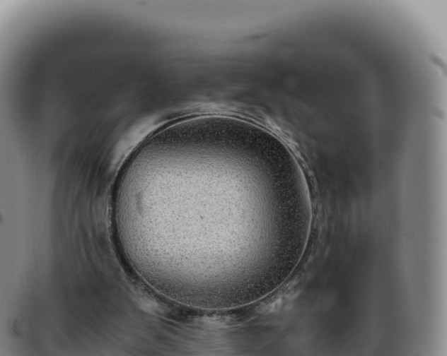 X0000096480103200801311605