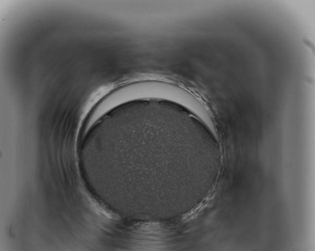 X0000096480104200801311605