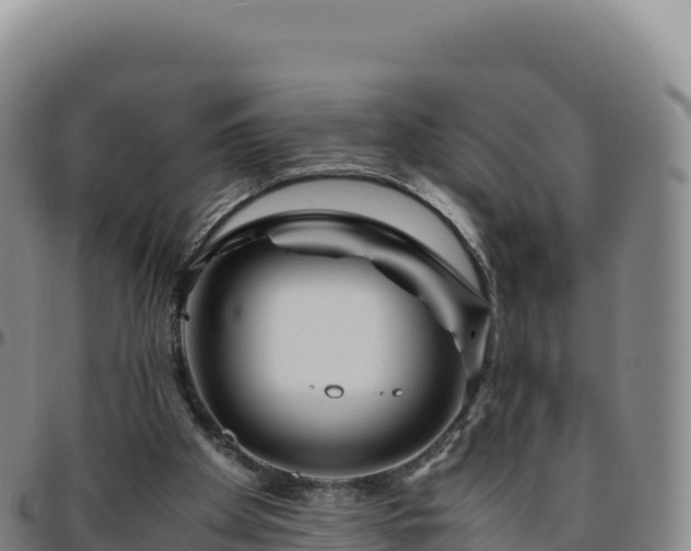 X0000096480105200801311605