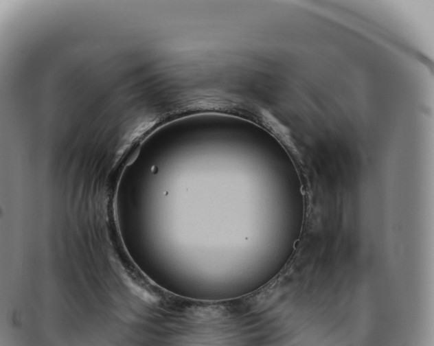 X0000096480106200801311605