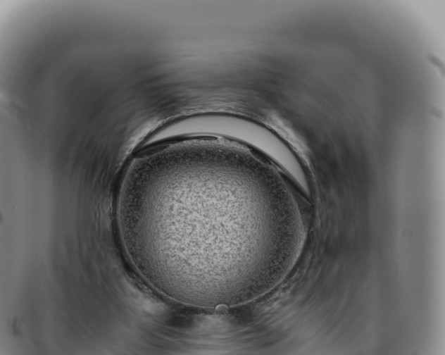 X0000096480107200801311605