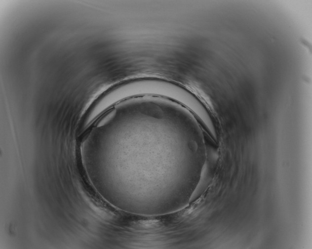 X0000096480108200801311605