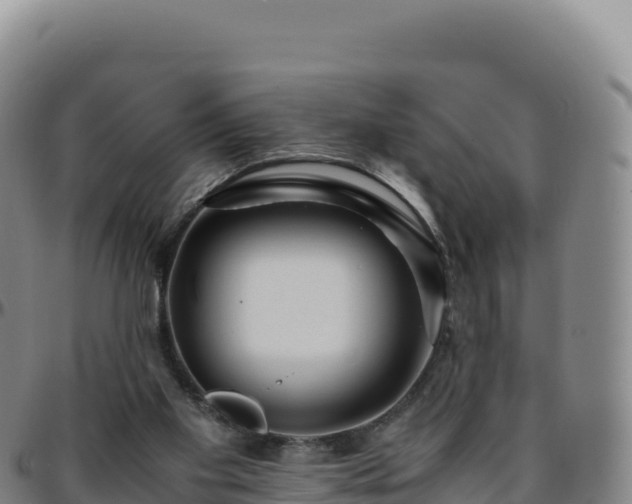 X0000096480109200801311605