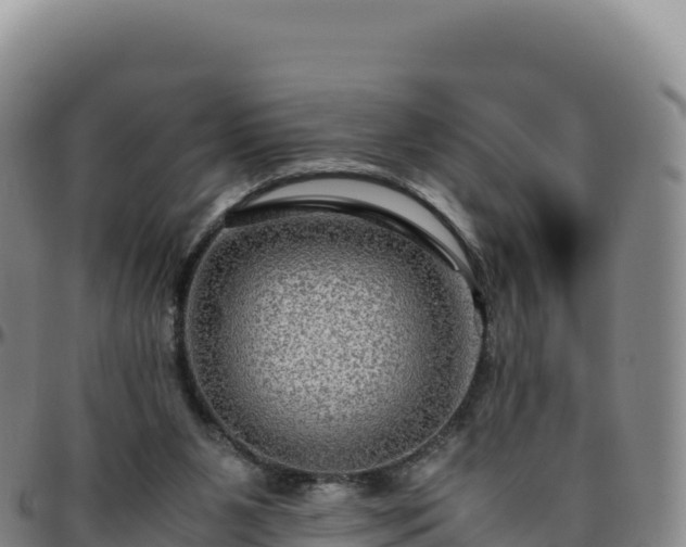 X0000096480111200801311605