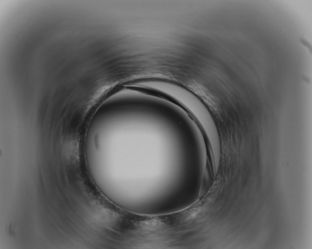 X0000096480112200801311605