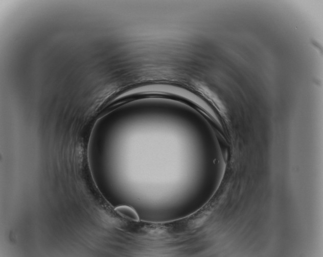 X0000096480113200801311605