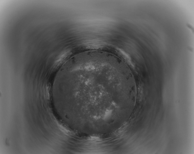 X0000096480114200801311605