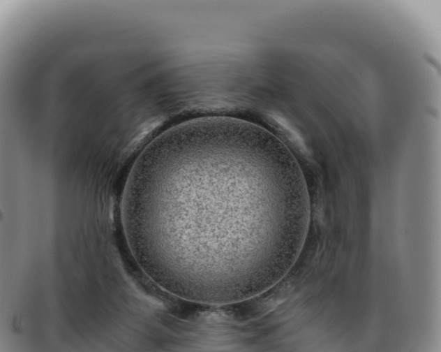 X0000096480115200801311605