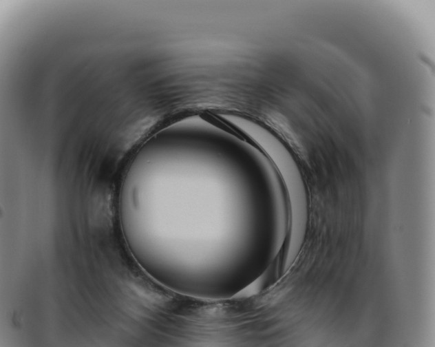 X0000096480116200801311605