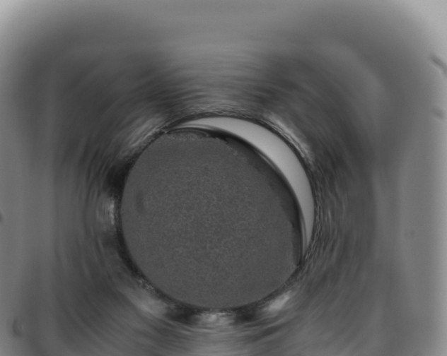 X0000096480117200801311605