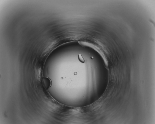 X0000096480118200801311605