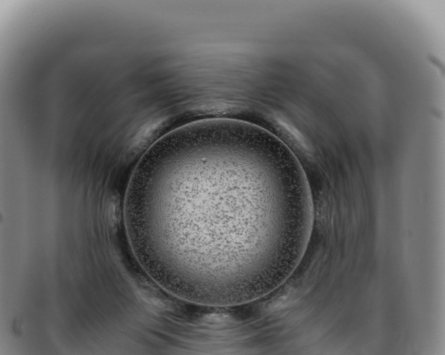 X0000096480119200801311605