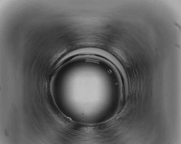 X0000096480120200801311605