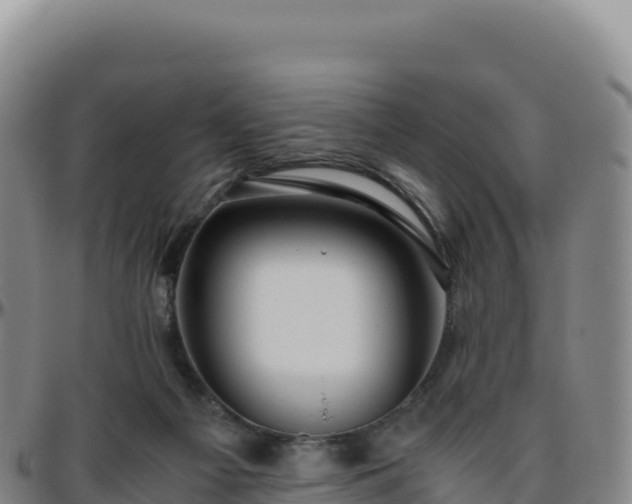 X0000096480121200801311605