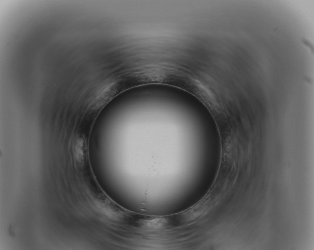 X0000096480122200801311605