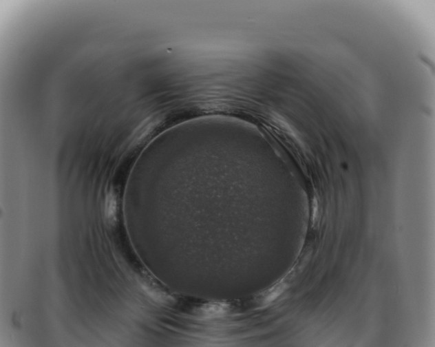 X0000096480124200801311605