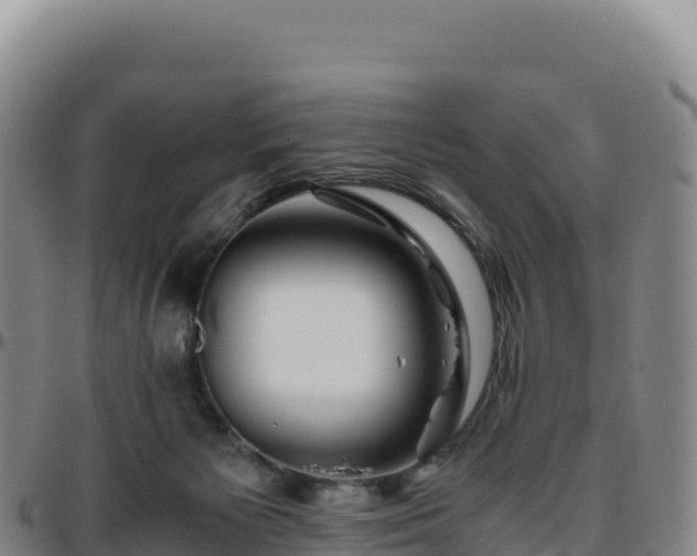 X0000096480125200801311605