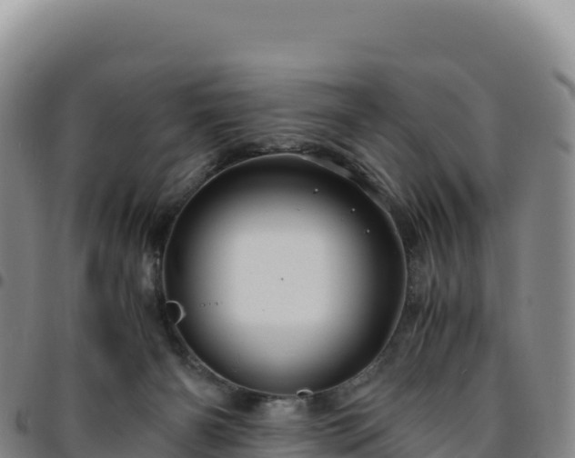 X0000096480126200801311605