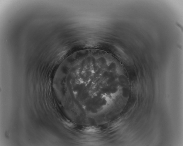 X0000096480127200801311605