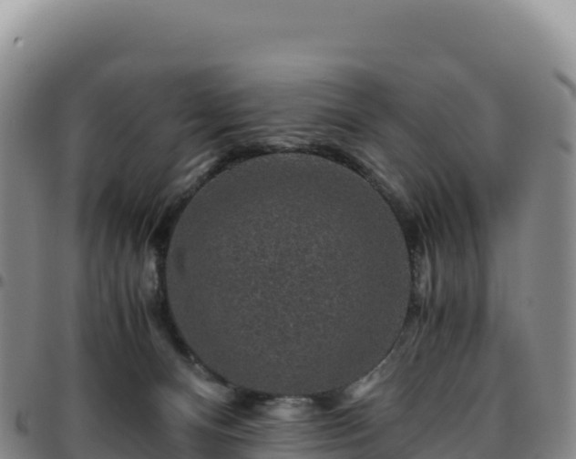 X0000096480128200801311605