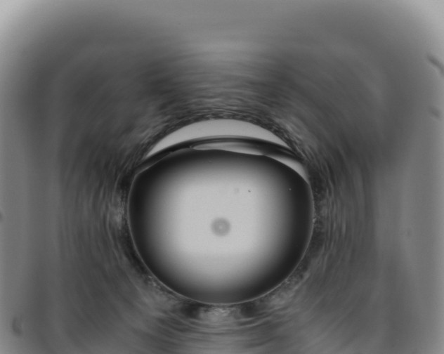 X0000096480129200801311605